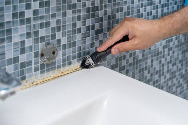 Best Kitchen Mold Remediation in Bon Aqua Junction, TN